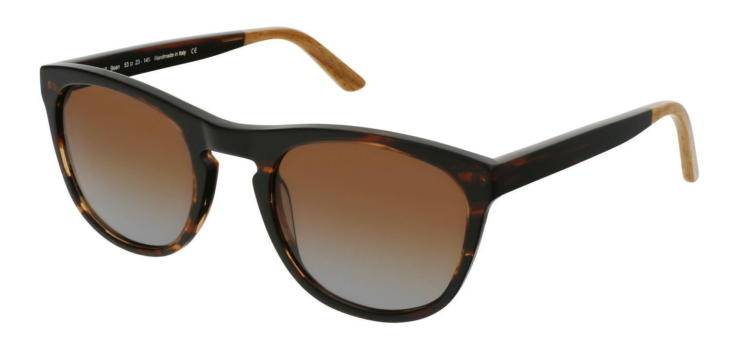 Lunettes de soleil Karmoie Papillon STAR Marron pour Homme Visilab