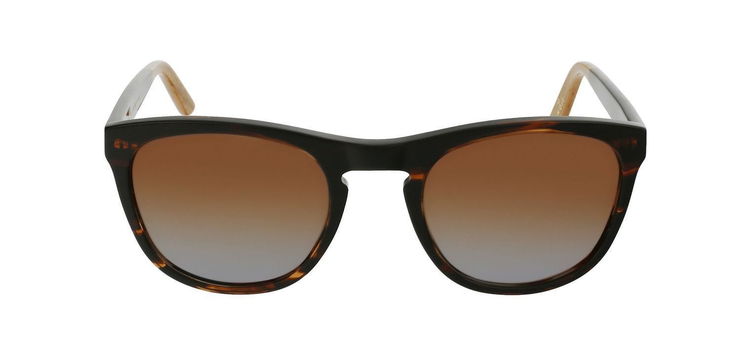 Lunettes de soleil Karmoie Papillon STAR Marron pour Homme Visilab
