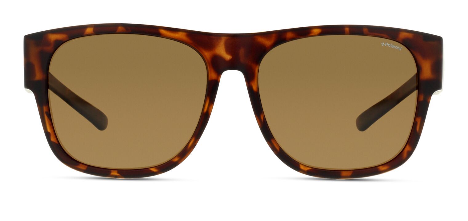 Polaroid tortoise shell sunglasses sales