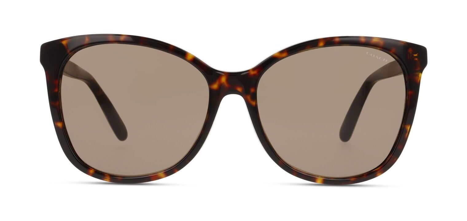 Coach outlet polarised sunglasses