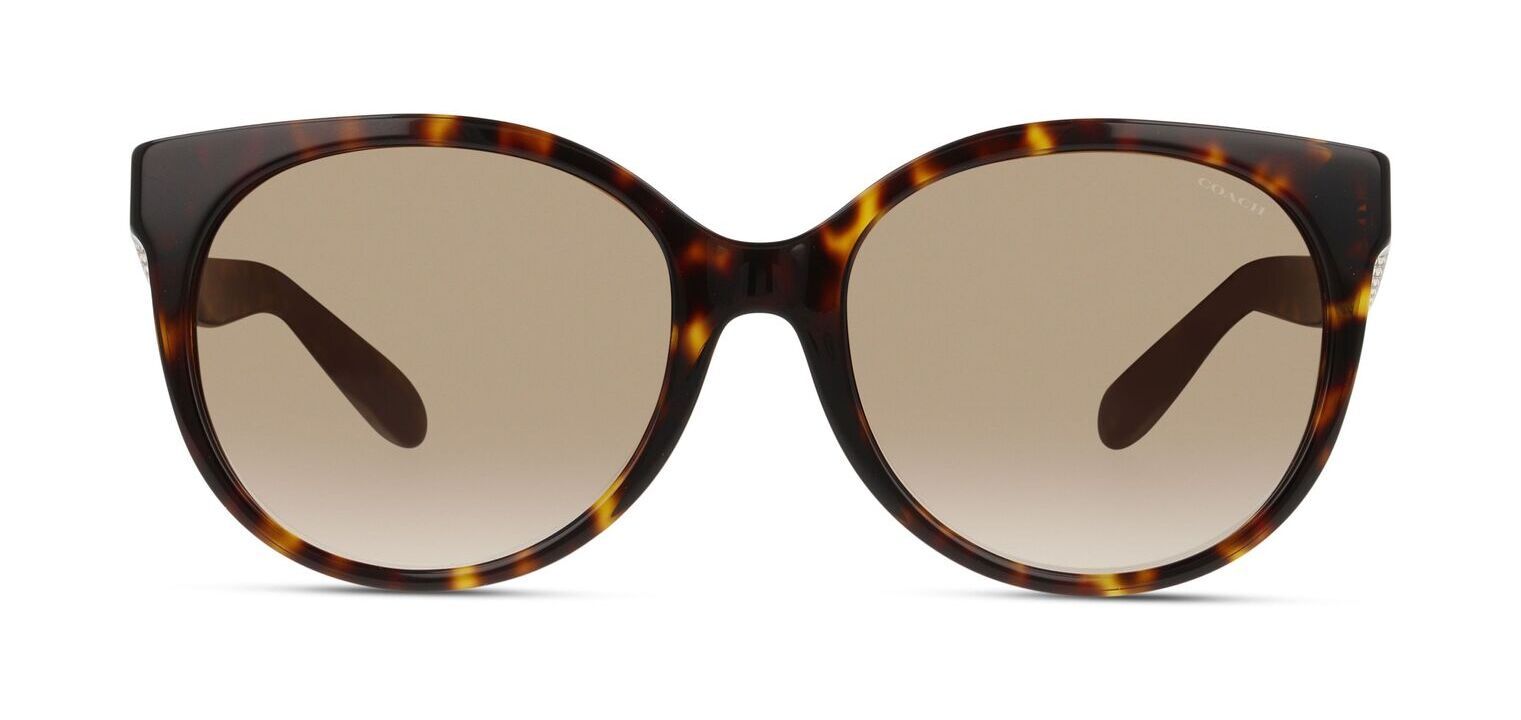 Lunettes de soleil Coach Ronde 0HC8321 Ecaille pour Femme Visilab