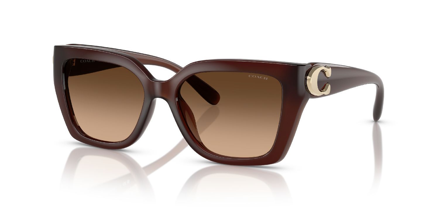 Coach Quadratisch Sonnenbrillen 0HC8408U Beige für Damen