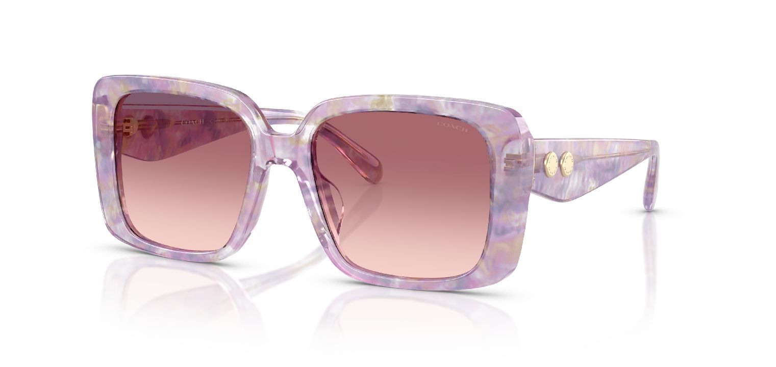 Coach Quadratisch Sonnenbrillen 0HC8424U Braun für Damen