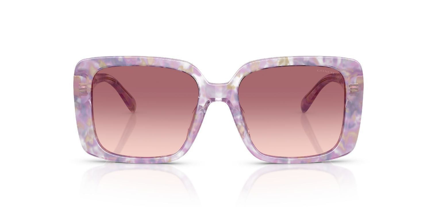 Coach Quadratisch Sonnenbrillen 0HC8424U Braun für Damen