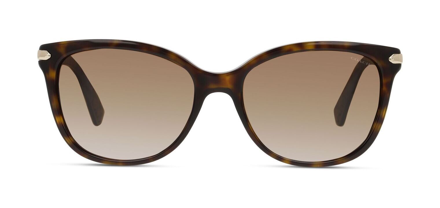 Coach Cat Eye Sunglasses 0HC8132 Tortoise shell for Woman