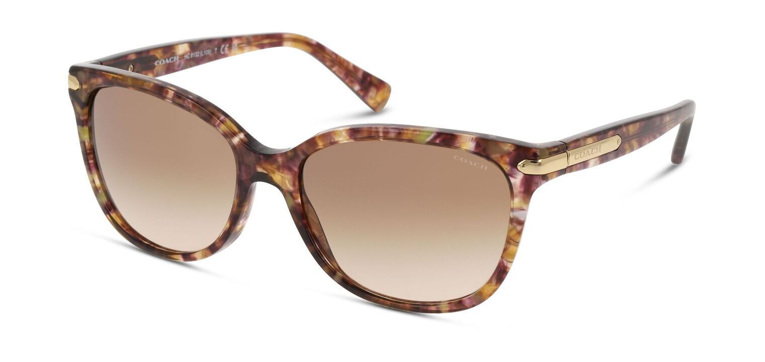 Coach Cat Eye Sunglasses 0HC8132 Marron for Woman