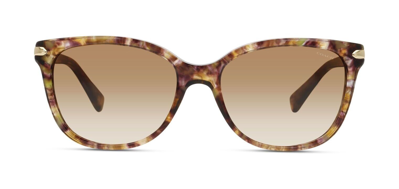 Coach Cat Eye Sunglasses 0HC8132 Marron for Woman