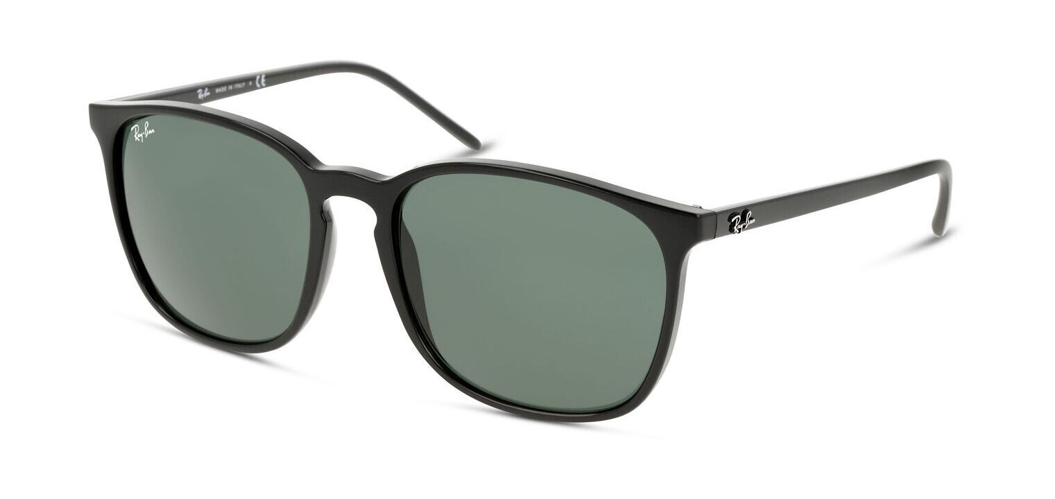Lunettes de soleil Ray-Ban Wayfarer 0RB4387 Noir pour Homme-Femme