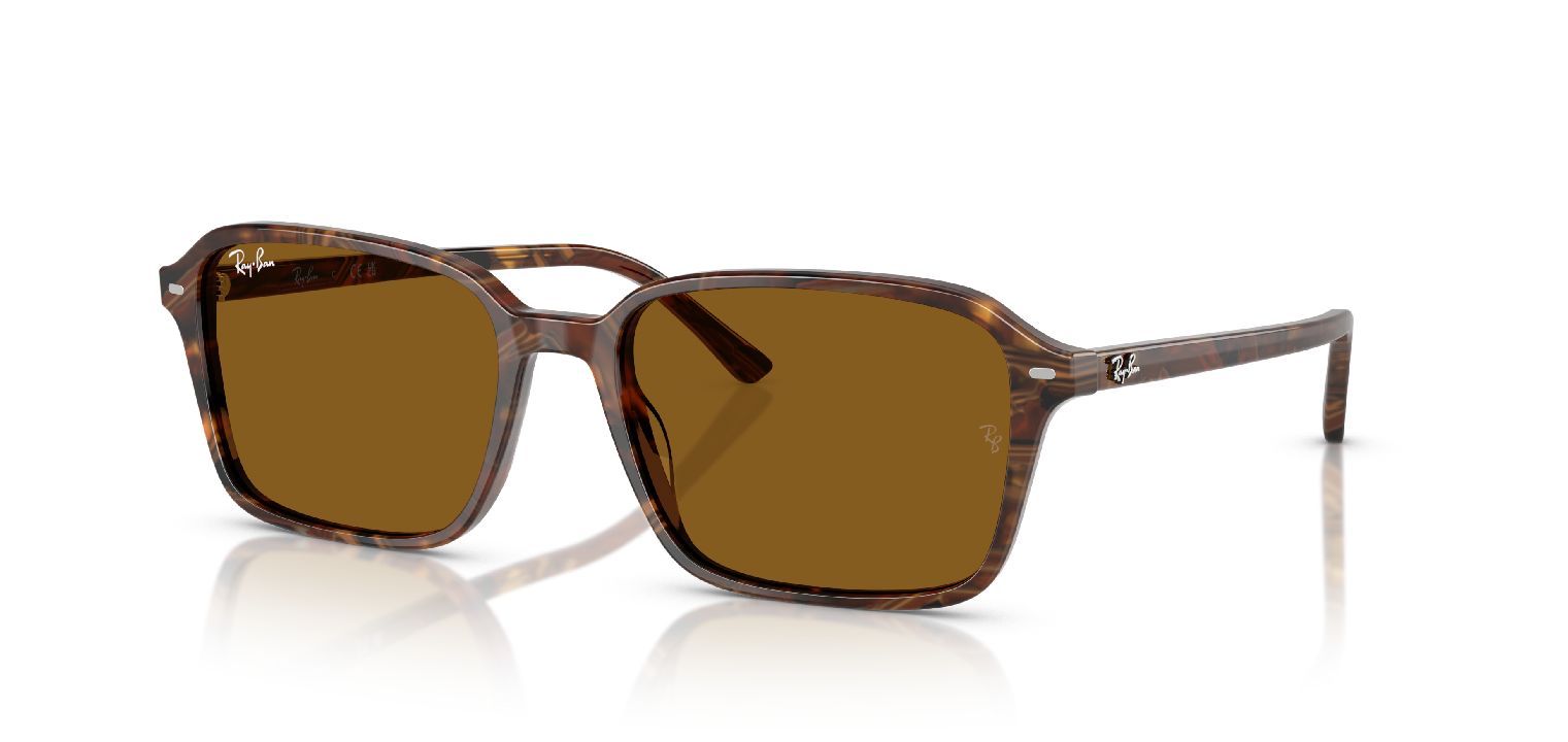 Ray-Ban Quadratisch Sonnenbrillen 0RB2231 Braun für Damen/Herren