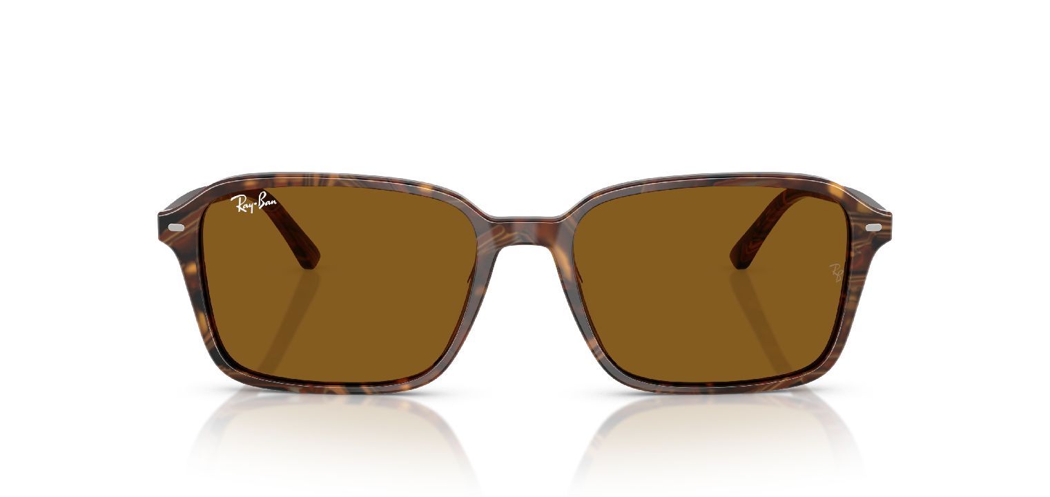 Ray-Ban Quadratisch Sonnenbrillen 0RB2231 Braun für Damen/Herren
