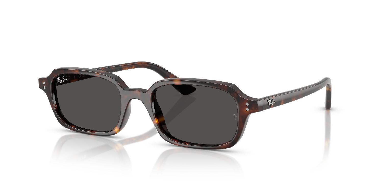 Lunettes de soleil Ray-Ban Carré 0RB4455 Havana pour Homme-Femme