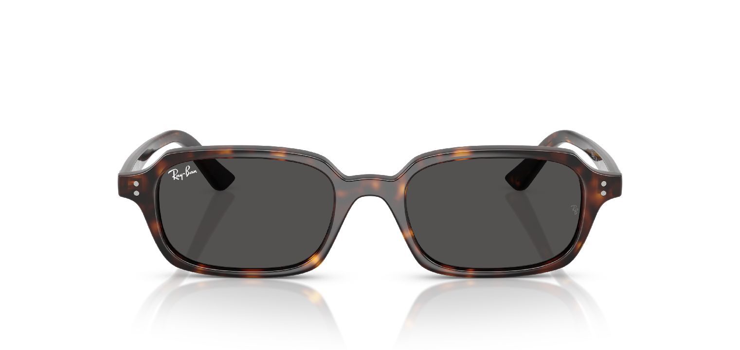 Lunettes de soleil Ray-Ban Carré 0RB4455 Havana pour Homme-Femme