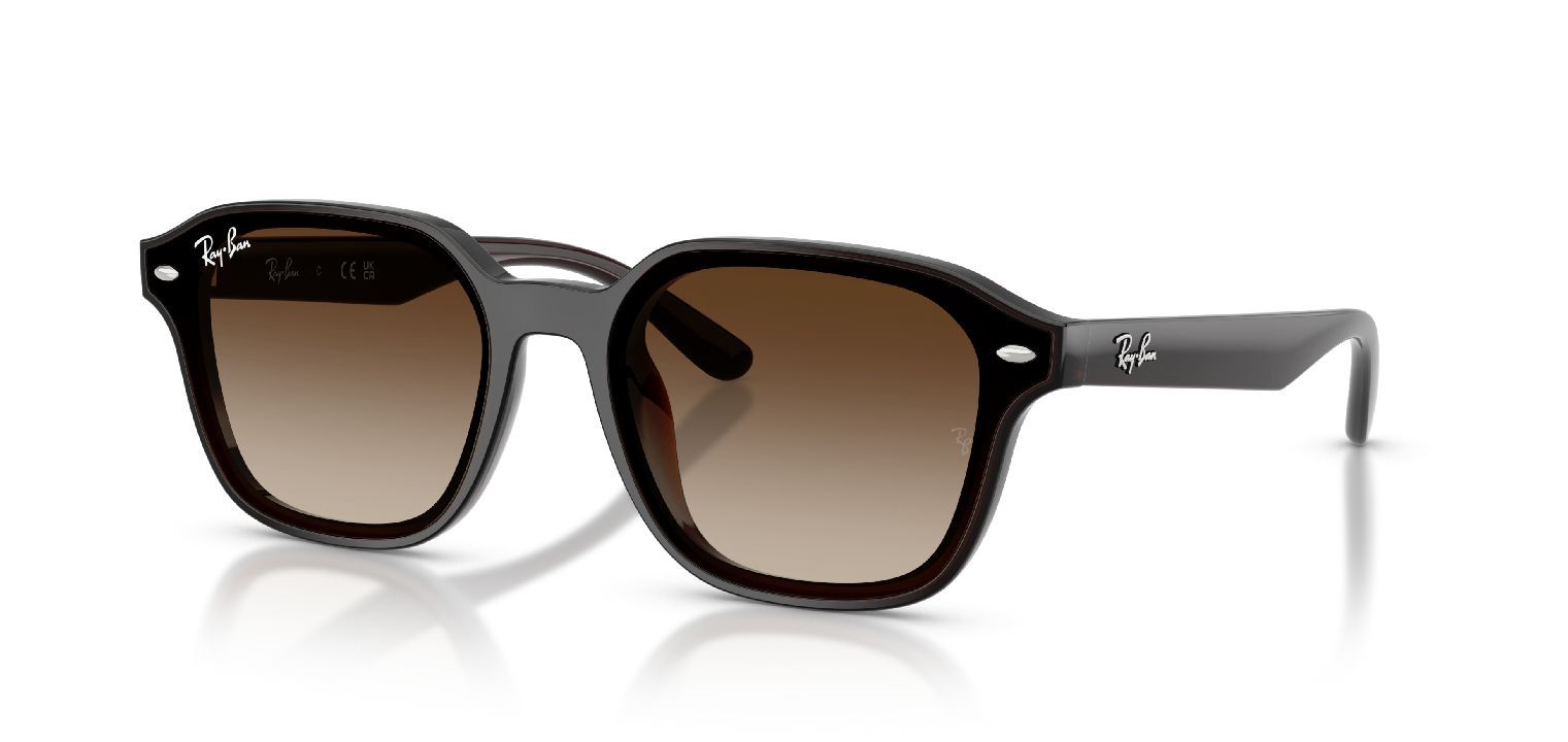 Ray-Ban Carré Sunglasses 0RB4458D Marron for Unisex