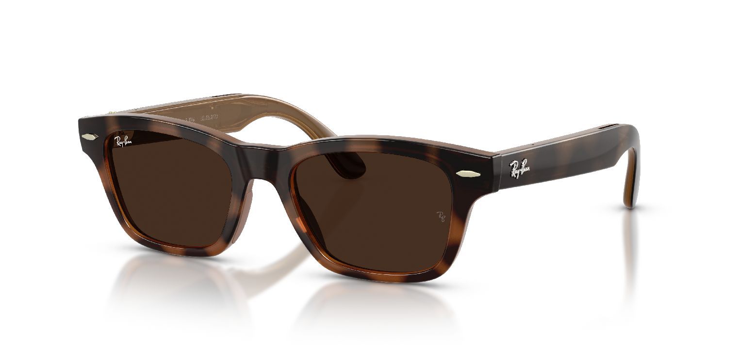 Ray-Ban Meta Quadratisch Sonnenbrillen 0RW7005/BURBANK L/TRS Havana für Damen/Herren