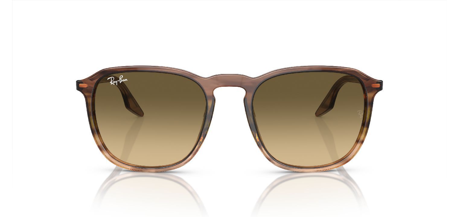 Ray-Ban Carré Sunglasses 0RB2203 Marron for Unisex