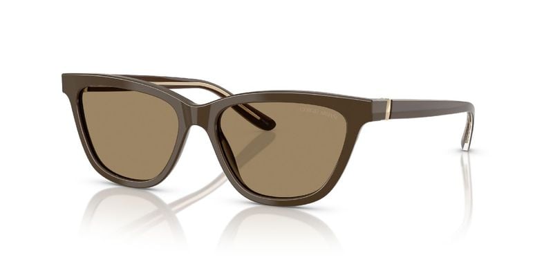 Giorgio Armani Cat Eye Sunglasses 0AR8221 Marron for Woman