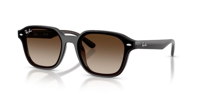 Ray-Ban Carré Sunglasses 0RB4458D Marron for Unisex
