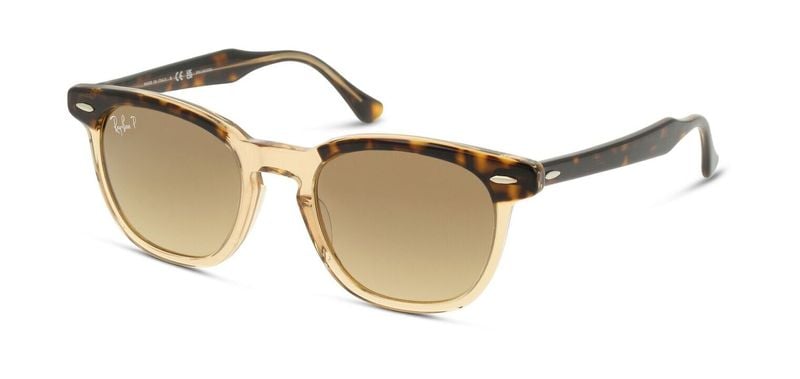 Lunettes de soleil Ray-Ban Rectangle 0RB2298 Ecaille pour Homme-Femme